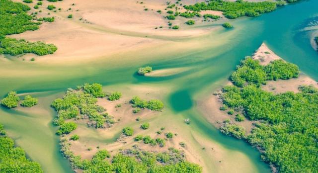 Voyage sur-mesure, Voyage de noces au Sénégal: luxe & charme en bord de plage