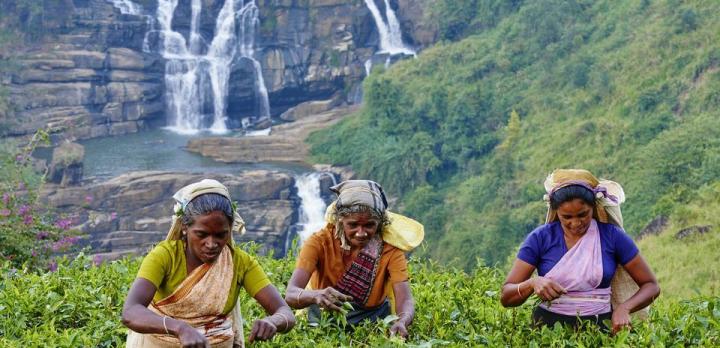 Voyage sur-mesure, Voyage légendaire à bord des trains au Sri Lanka