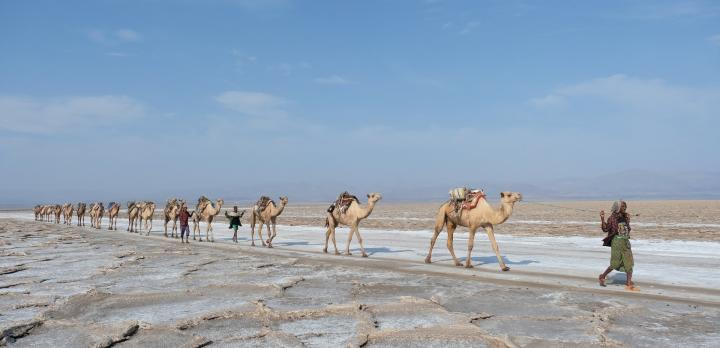 Voyage sur-mesure, Voyage dans les Hauts Plateaux et excursion au Dallol