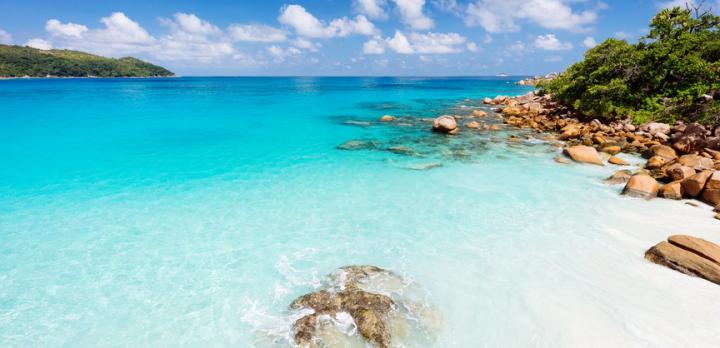 Voyage sur-mesure, Combiné Afrique du Sud et les Seychelles : safaris et plages