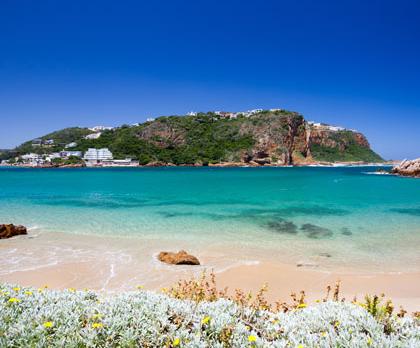 Voyage à travers les paysages de l’Afrique du Sud !