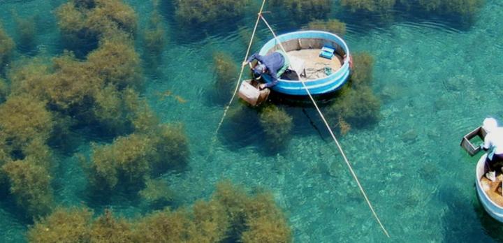 Voyage sur-mesure, Découverte de l'île de Sado dans la Mer du Japon