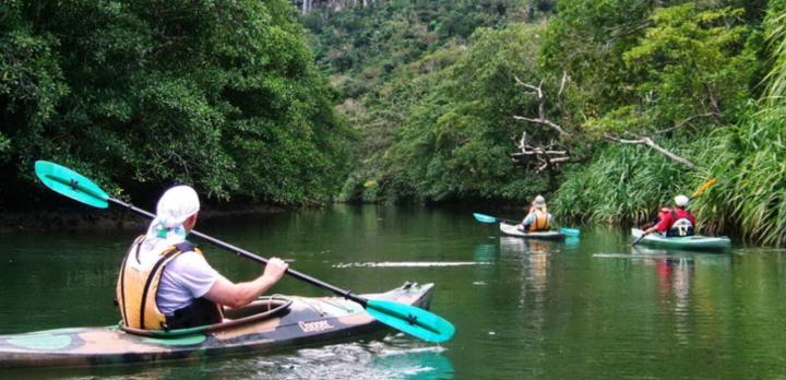 Voyage sur-mesure, Découverte d'Iriomote : kayak, mangrove & snorkelling