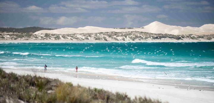 Voyage sur-mesure, L'Australie en camping car : traversée de la Nullarbor d’Adelaide à Perth