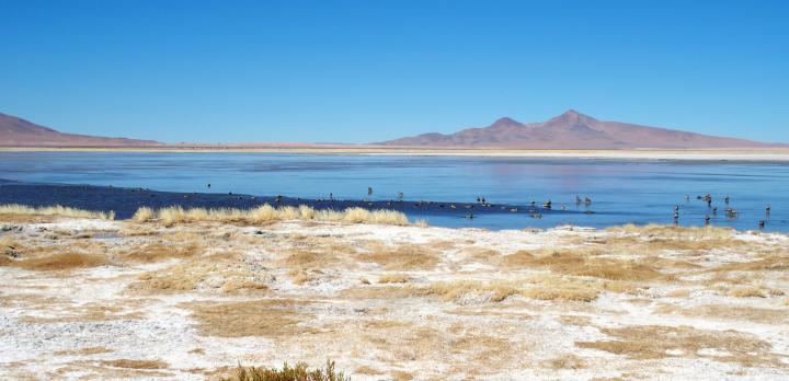 Voyage sur-mesure, Salar de Surire, Humberstone (village fantôme), Désert d'Atacama