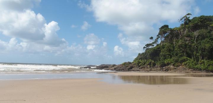 Voyage sur-mesure, De la montage à la mer : Rio, villes coloniales baroques et baie de Paraty