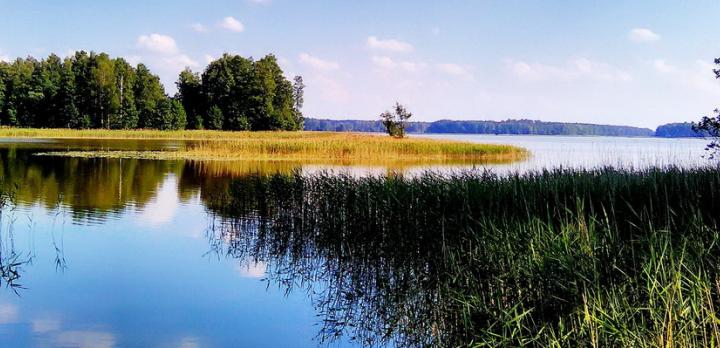 Voyage sur-mesure, La Pologne du Nord au Sud : un combiné nature et culture