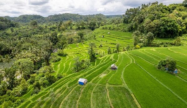Voyage sur-mesure, Bali hors des sentiers battus