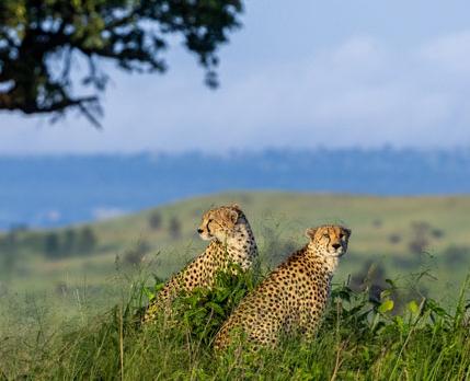 Voyage sur-mesure, Tanzanie du Sud et Zanzibar