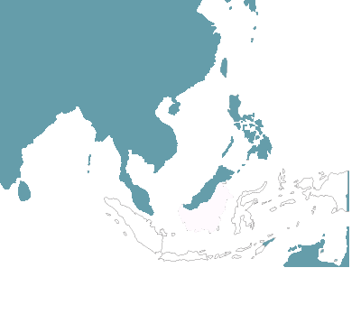 Circuits Sur Mesure En Indonésie Route Des Voyages