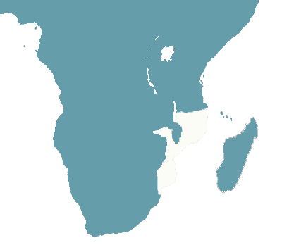 Voyage sur-mesure, Mozambique