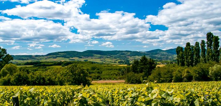 Voyage sur-mesure, Belleville en Beaujolais