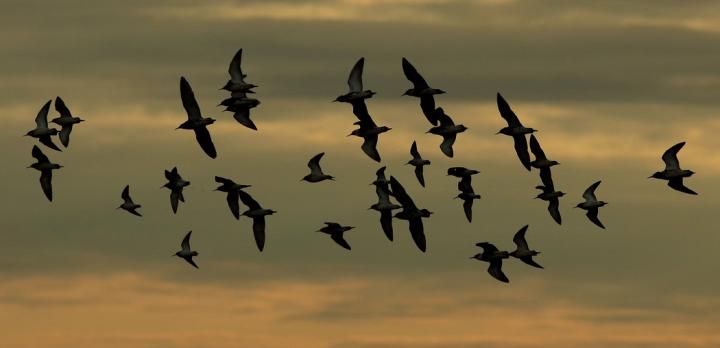 Voyage sur-mesure, Parc national de la Biebrza