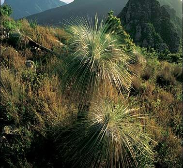 Voyage sur-mesure, WA - Stirling Range National Park