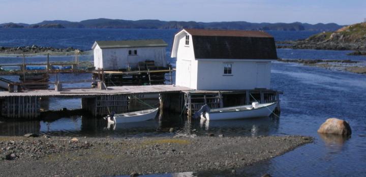 Voyage sur-mesure, Twillingate
