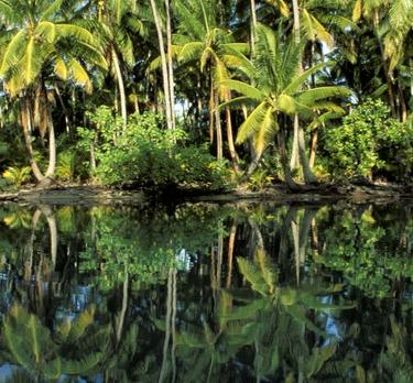 Voyage sur-mesure, Huahine