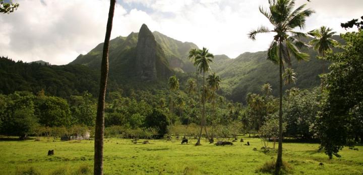 Voyage sur-mesure, Raiatea