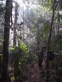 Voyage sur-mesure, Yaxha