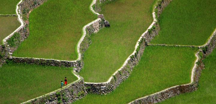 Voyage sur-mesure, Banaue
