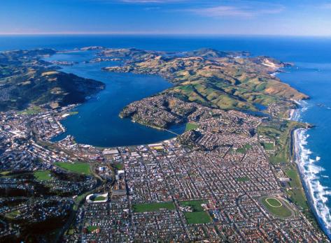 Voyage sur-mesure, Dunedin