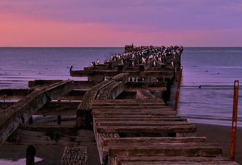 Voyage sur-mesure, Punta Arenas