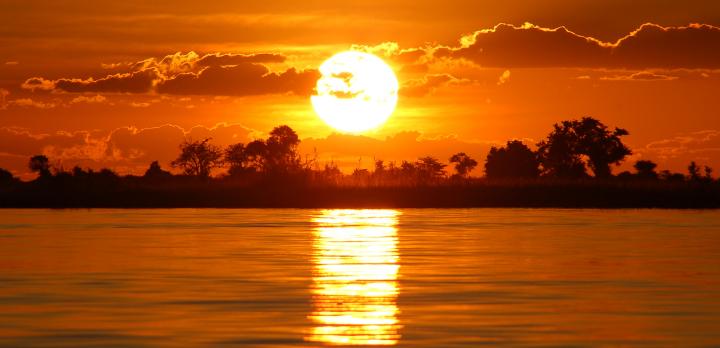 Voyage sur-mesure, Chobe National Park