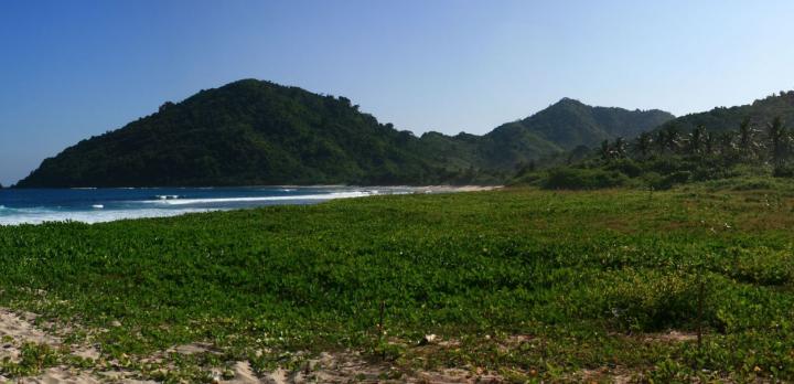 Voyage sur-mesure, Sekotong