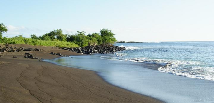Voyage sur-mesure, Galápagos (Floreana ou Santa-Maria)