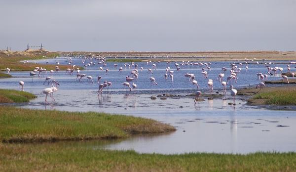 Voyage sur-mesure, Walvis Bay