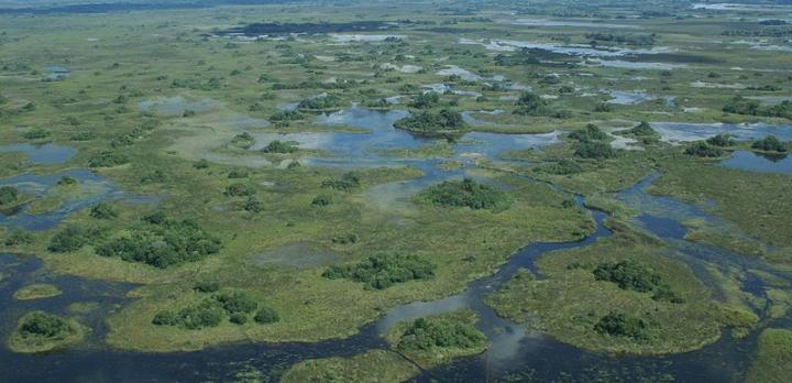 Voyage sur-mesure, Delta de l'Okavango