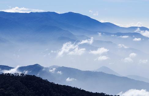 Voyage sur-mesure, San Gerardo de Dota (Cerro de la Muerte)