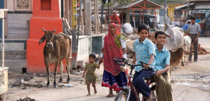 Voyage sur-mesure, Jojawar