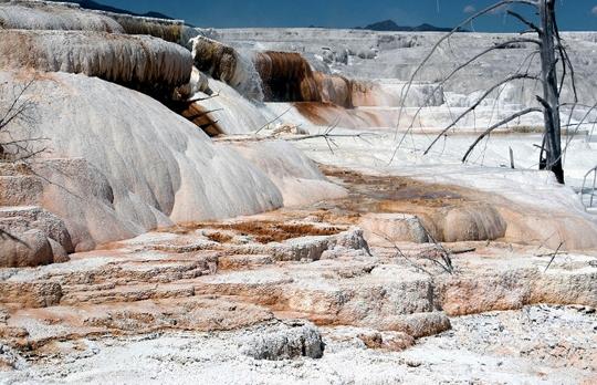 Voyage sur-mesure, Mammoth Hot Springs (Yellowstone North)