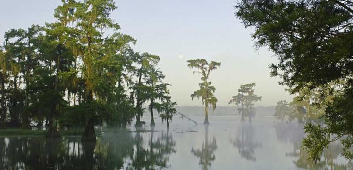 Voyage sur-mesure, Houma