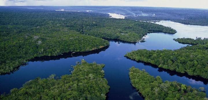 Voyage sur-mesure, Amazonie