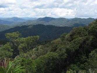 Voyage sur-mesure, Forêt de Nyungwe