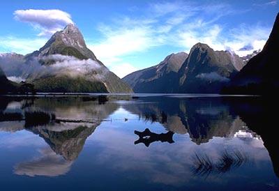 Voyage sur-mesure, Milford Sound