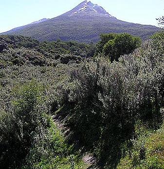 Voyage sur-mesure, Parc National de Terre de Feu