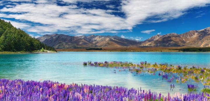 Voyage sur-mesure, Lac Tekapo