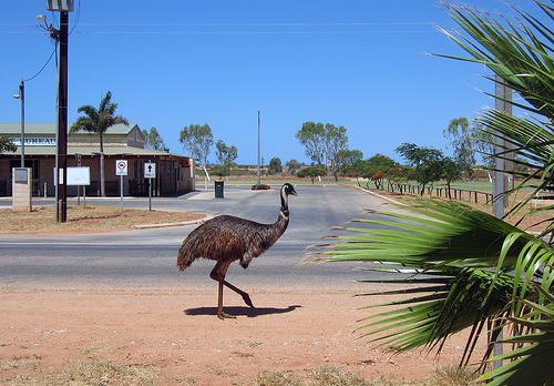 Voyage sur-mesure, WA - Exmouth