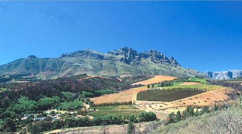 Voyage sur-mesure, Région des Vignobles