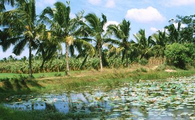 Voyage sur-mesure, Backwaters