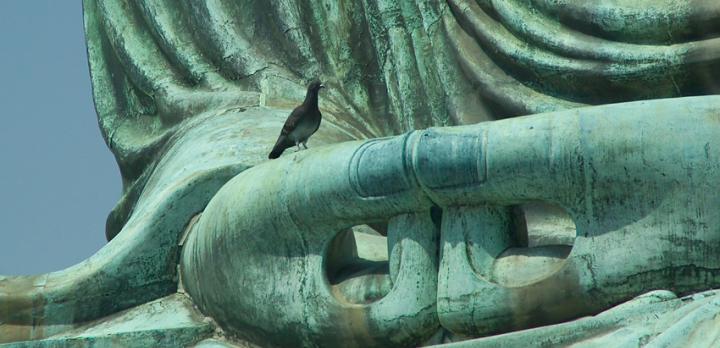 Voyage sur-mesure, Kamakura