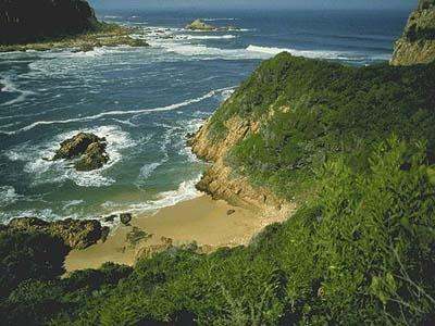 Voyage sur-mesure, Knysna