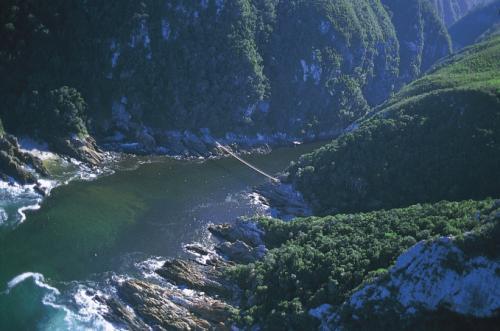 Voyage sur-mesure, Parc National de Tsitsikamma