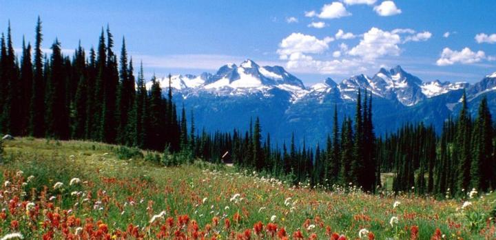 Voyage sur-mesure, Revelstoke National Park