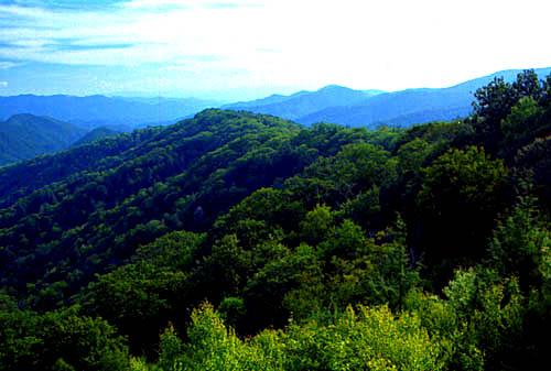 Voyage sur-mesure, Green Mountains