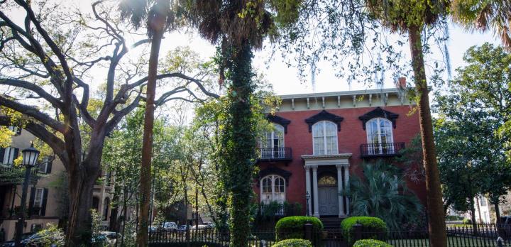 Voyage sur-mesure, Savannah