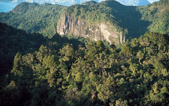 Voyage sur-mesure, Waitakere Ranges