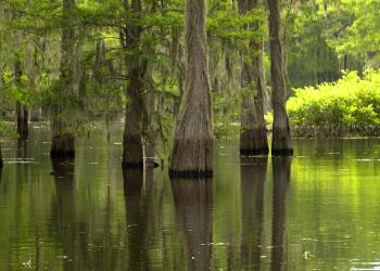 Voyage sur-mesure, Houma